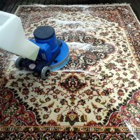 Czyszczenie dywanów szorowarką